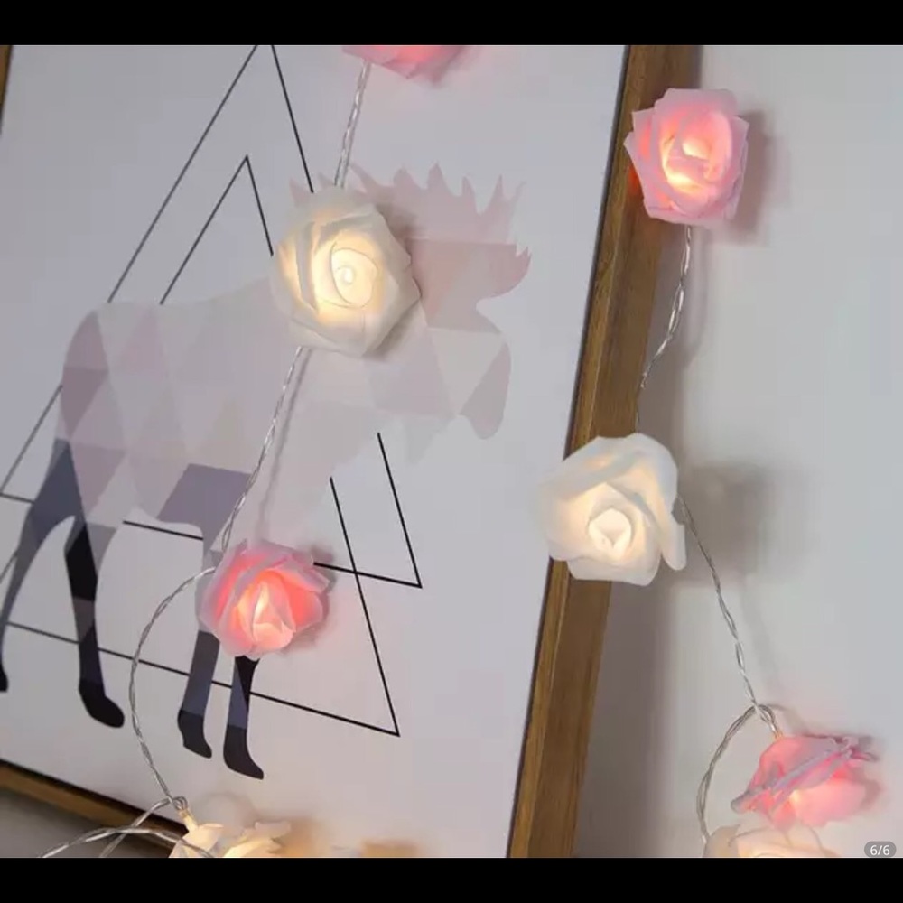 WHITE & PINK AESTHETIC ROSE STRING LIGHTS - Picture 6 of 6